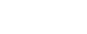 logo_lions_in_classic_white